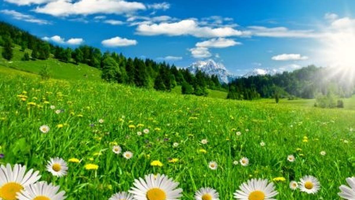 Temperaturi de vară în acest weekend 