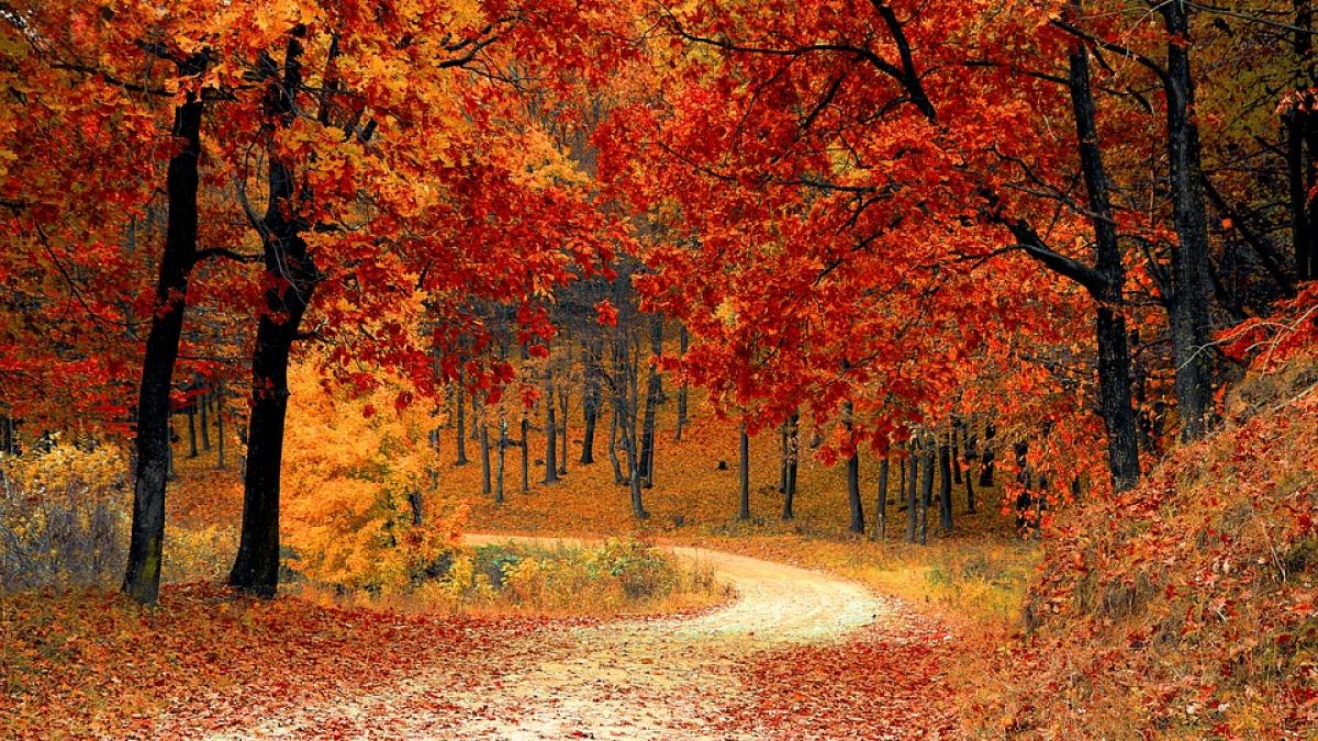 Horoscop săptămânal, 24 - 30 septembrie. Săgetătorii primesc răspunsurile pe care le căutau
