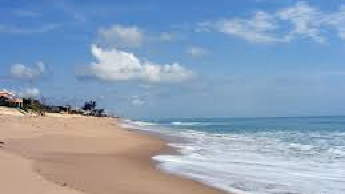 Baloți cu canabis, descoperiți eșuați pe plajele din Florida
