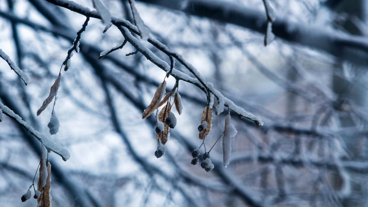 Primele temperaturi negative, înregistrate în masivul Ceahlău