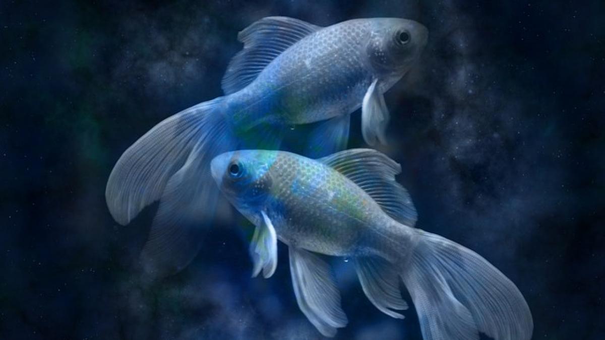 Horoscopul lunii octombrie: Pestii se vor confrunta cu o situatie de criza