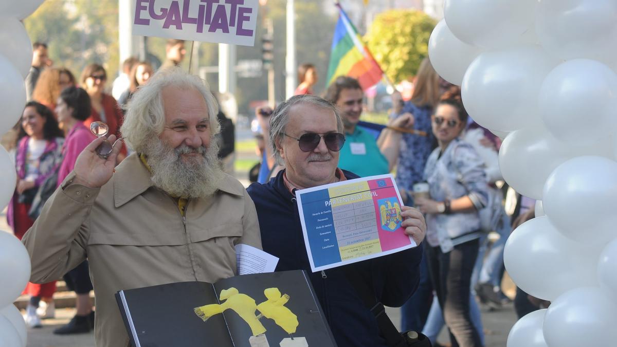 Ce prevede proiectul Legii parteneriatului Civil