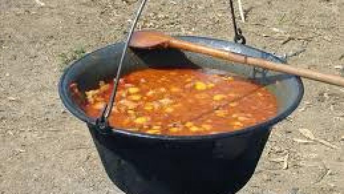 Festivalul Papricașului și Vinului