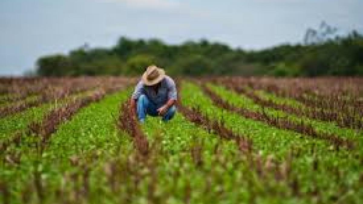 Ministerul Agriculturii a atribuit Egis România un contract de aproape 16 milioane de lei pentru consilierea producătorilor agricoli