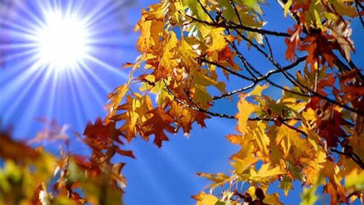 Veşti excelente de la ANM: Temperaturi de primăvară în această săptămână