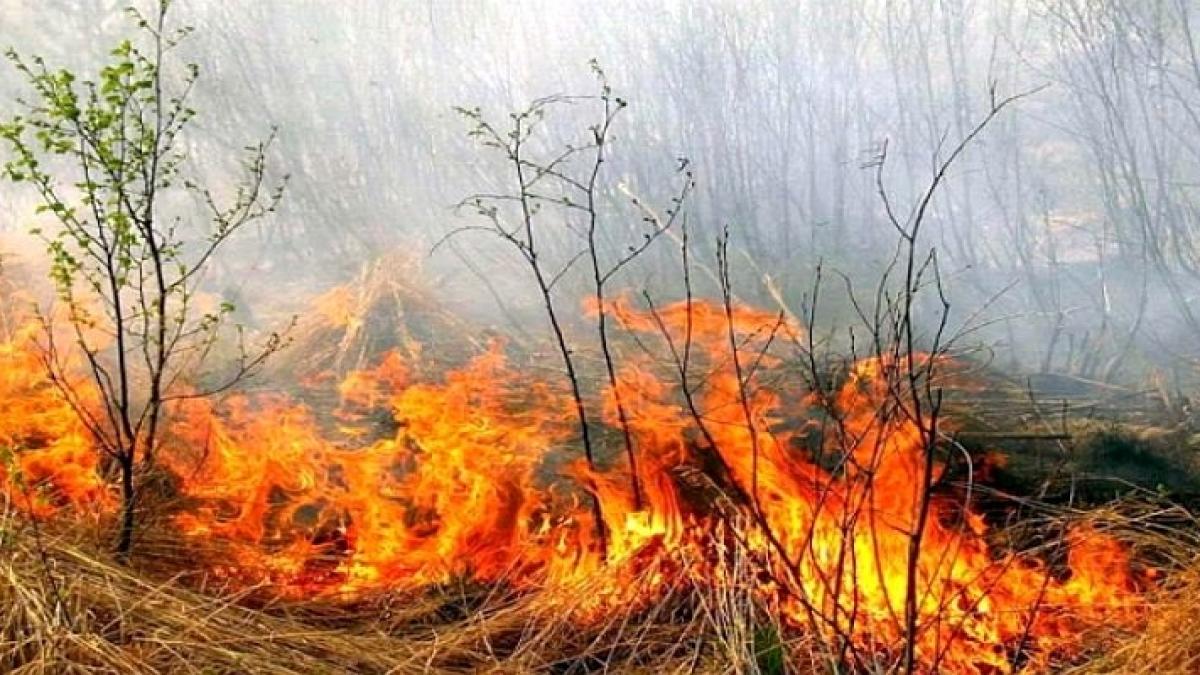 Incendiu de vegetaţie pe un teren din Vaslui