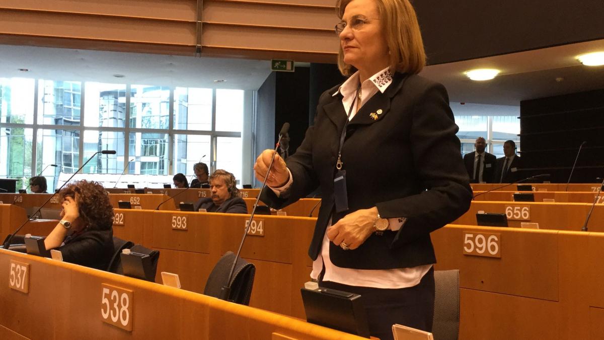 Maria Grapini, explicații despre Fondul social european Plus