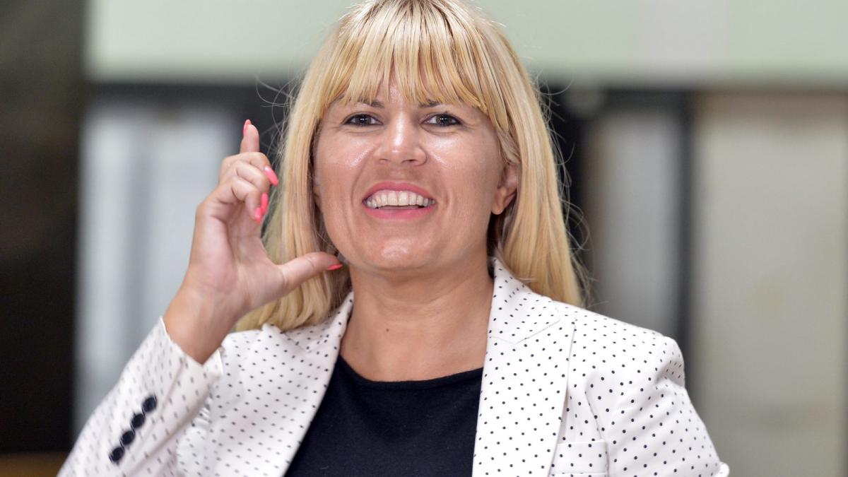 A fost votată o lege care ar putea să o scape de închisoare pe Elena Udrea