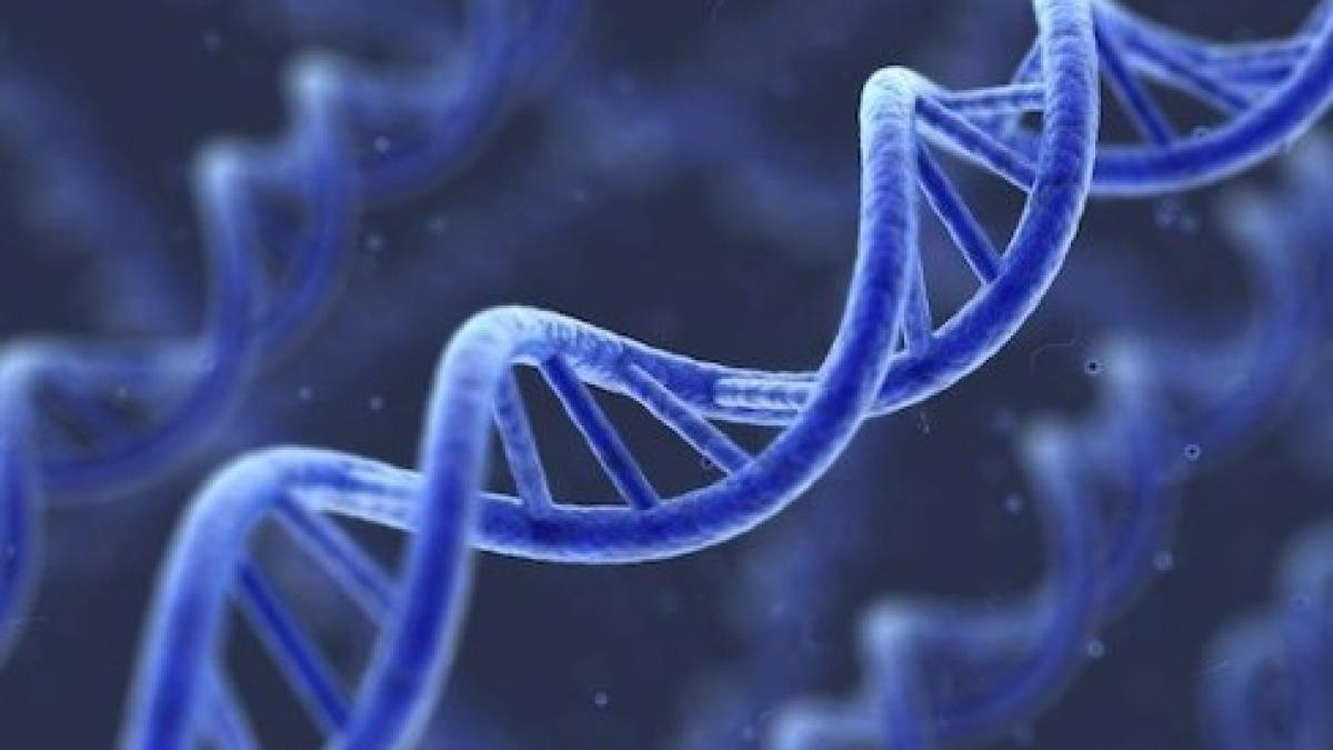 Oamenii de ştiinţă au lansat proiectul descifrării genomului tuturor speciilor de pe Terra