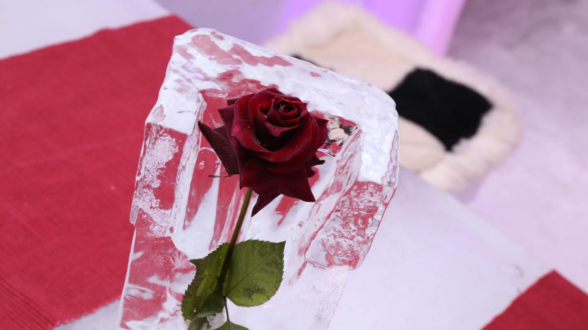 Sibiu: Turiştii, mai ales cei britanici, au început să îşi rezerve camere în hotelul de gheaţă de la Bâlea