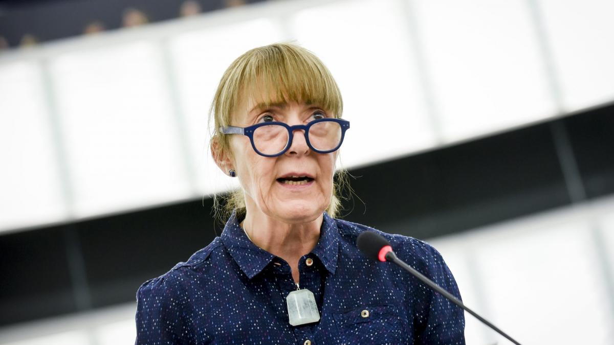 Monica Macovei a demisionat