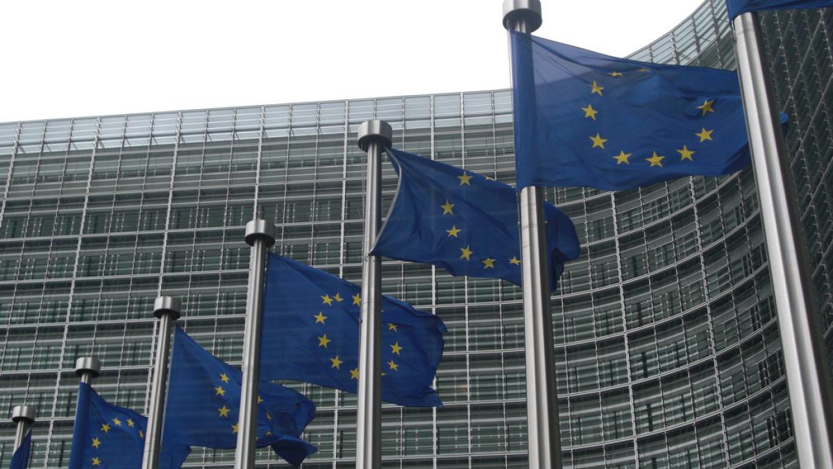 Germania şi Franţa vor prezenta un buget separat pentru zona euro în cadrul bugetului UE