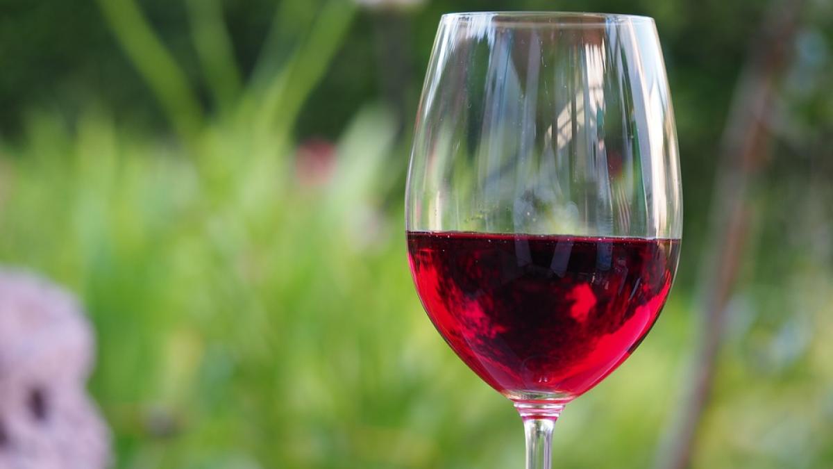 Cercetătorii au descoperit că cei care beau un pahar de vin zilnic sunt mai sănătoși