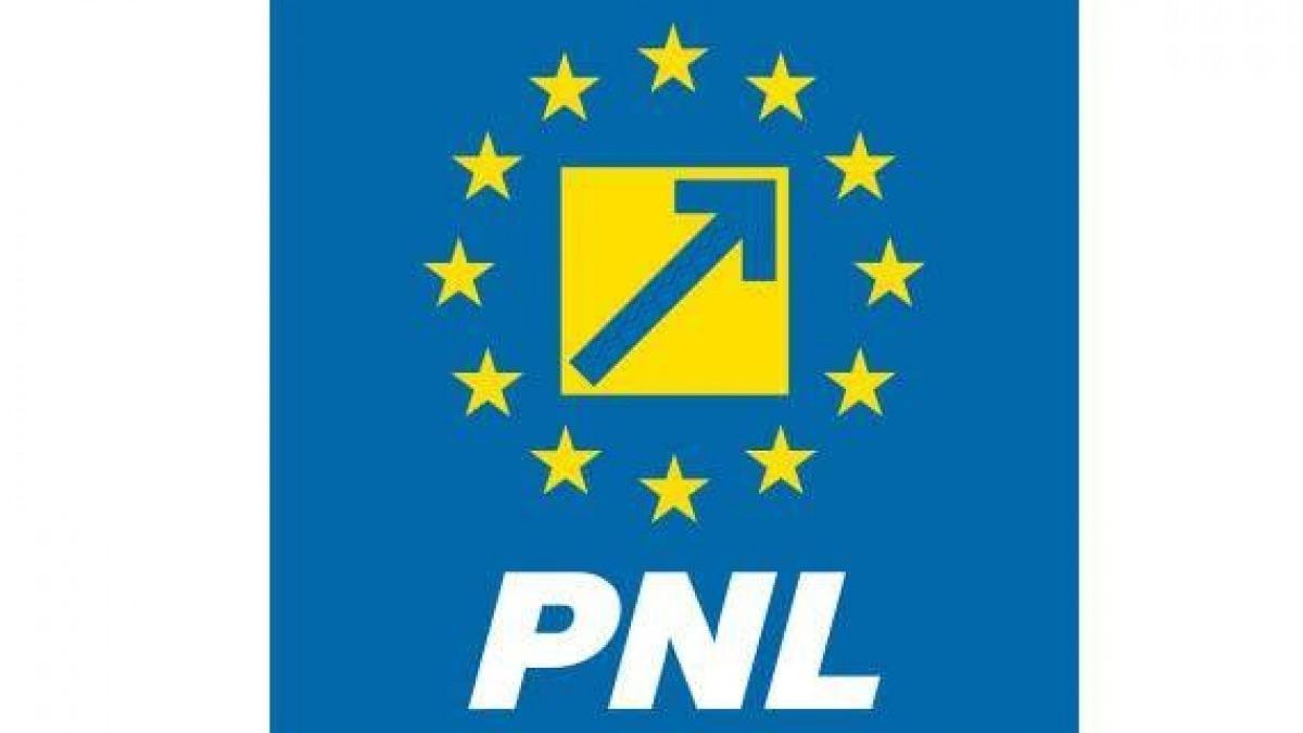 PNL va contesta Legea Pensiilor la Curtea Constituțională
