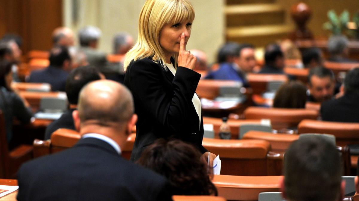 Ce mesaj ii transmite Elena Udrea lui Liviu Dragnea dupa eliberarea din inchisoare