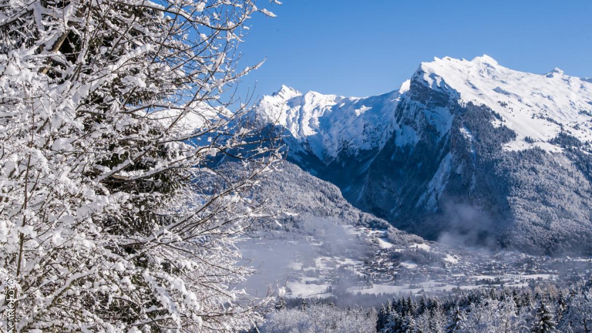 Iarna în Europa: Două persoane au murit în încercarea de a provoca o avalanșă preventivă