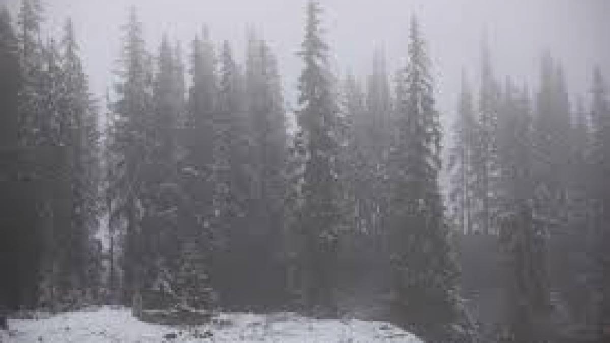Cod portocaliu de viscol în zona montană a judeţului Buzău, miercuri după-amiază