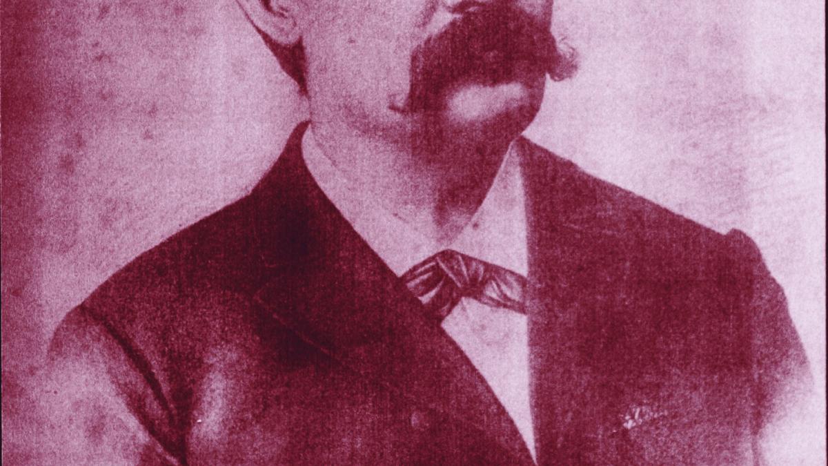Caracterul obştesc al luptelor  (Timpul, 3 august 1879)