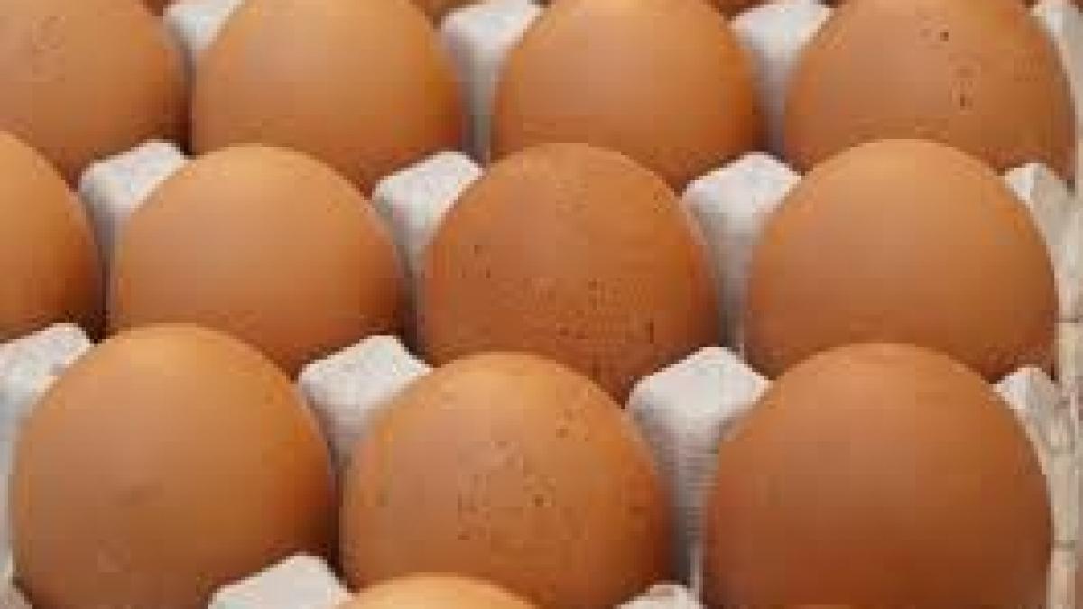 Alertă în Olt: Aproape 96.000 de ouă contaminate cu fipronil, retrase de la comercializare