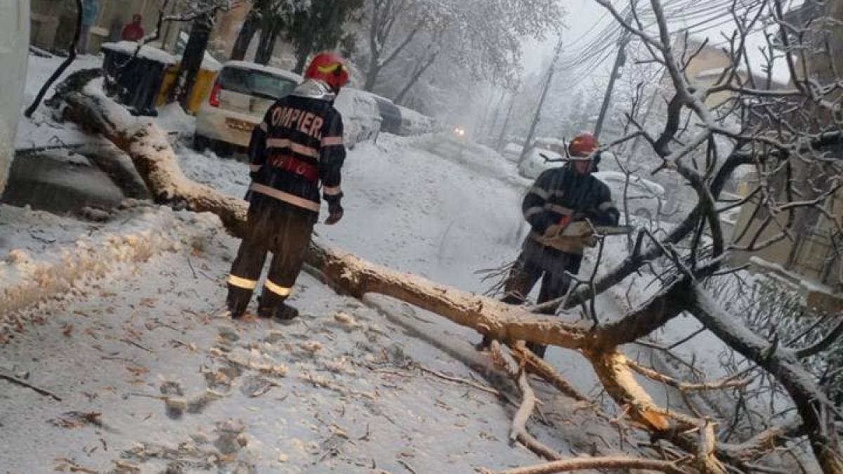 Dâmbovița: Drumul de acces către Peștera - blocat de copaci căzuți pe carosabil