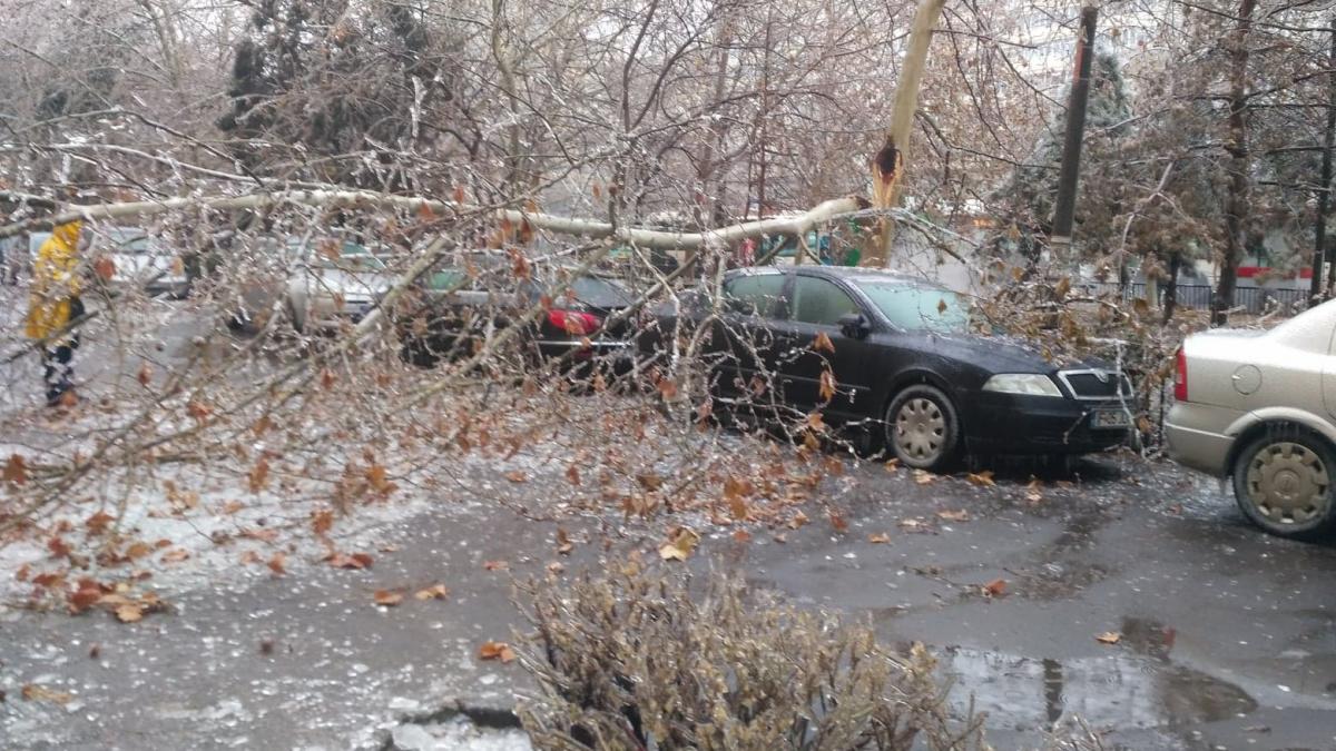 MAI: În Capitală s-a intervenit pentru degajarea a peste 700 de copaci de pe carosabil; circa 50 de autoturisme - afectate