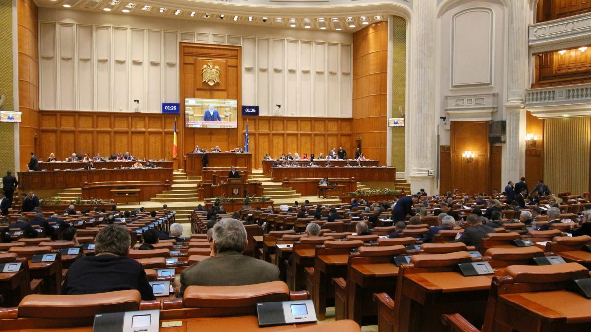 Dumitru Oprea (PNL):Fiecare dintre noi trebuie să aibă aptitudini de Houdini ca să parcurgă bugetul filă cu filă