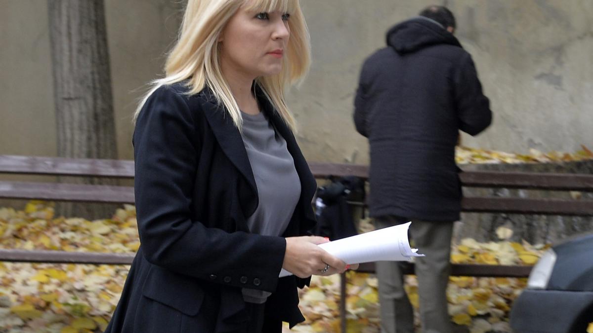 ANAF cere curator fiscal pentru administrarea averii Elenei Udrea