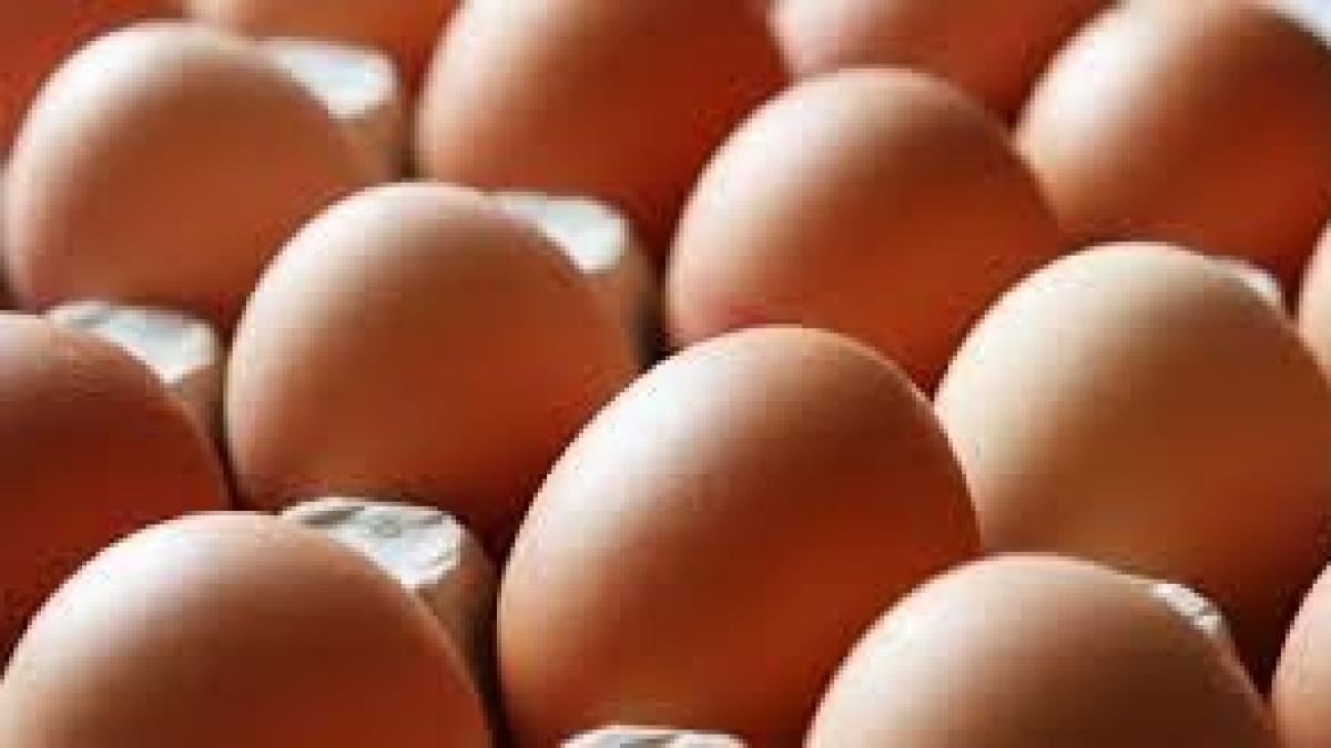 Peste 170.000 de ouă contaminate cu fipronil, retrase de la comercializare din mai multe judeţe din Olt