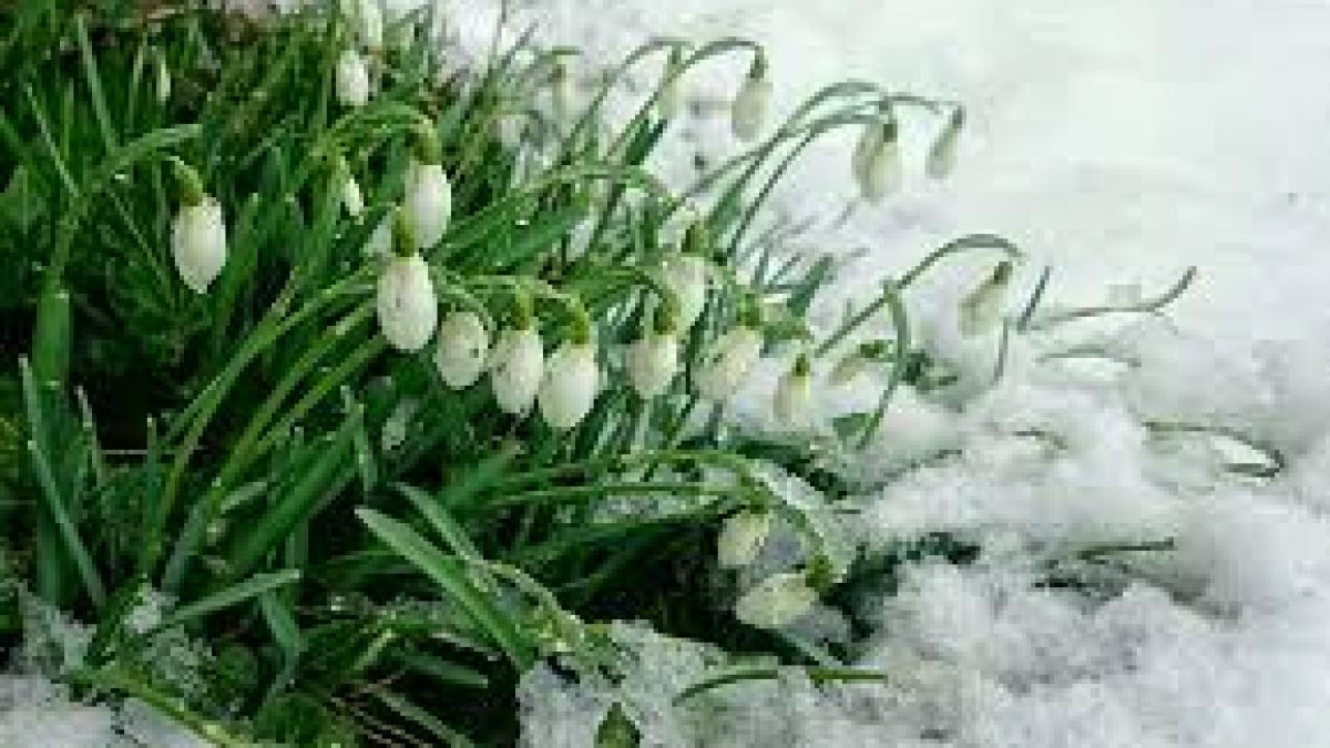 Veşti excelente de la ANM! Vremea caldă în acest weekend