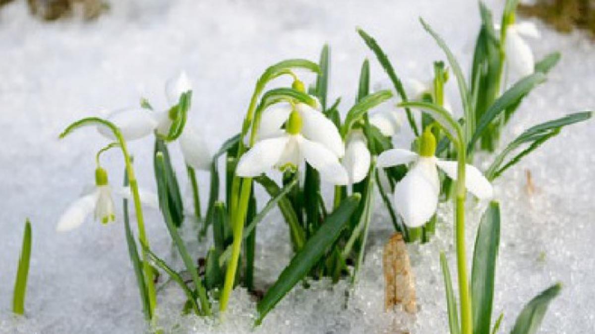 Prognoza METEO pentru 25, 26, 27 și 28 februarie 2019: Cer noros