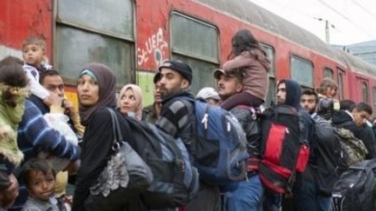Guvernul a plătit sute de imigranţi pentru ca aceştia să se întoarcă în ţările lor 