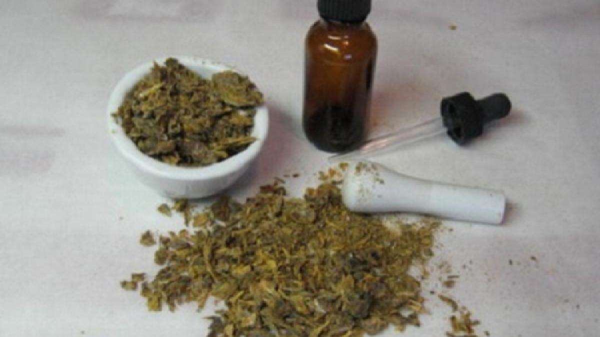 15 BOLI pe care le POȚI VINDECA cu tinctură de PROPOLIS. Ce trebuie să faci?