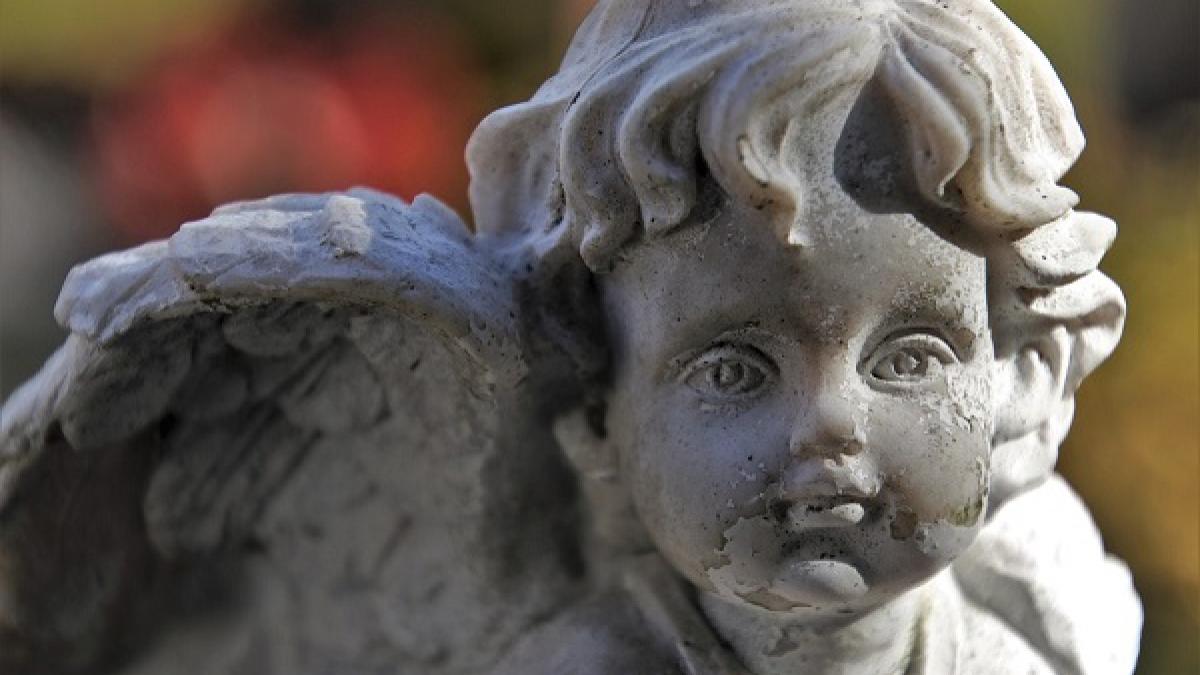 Glosar popular de vise: CINEVA MORT