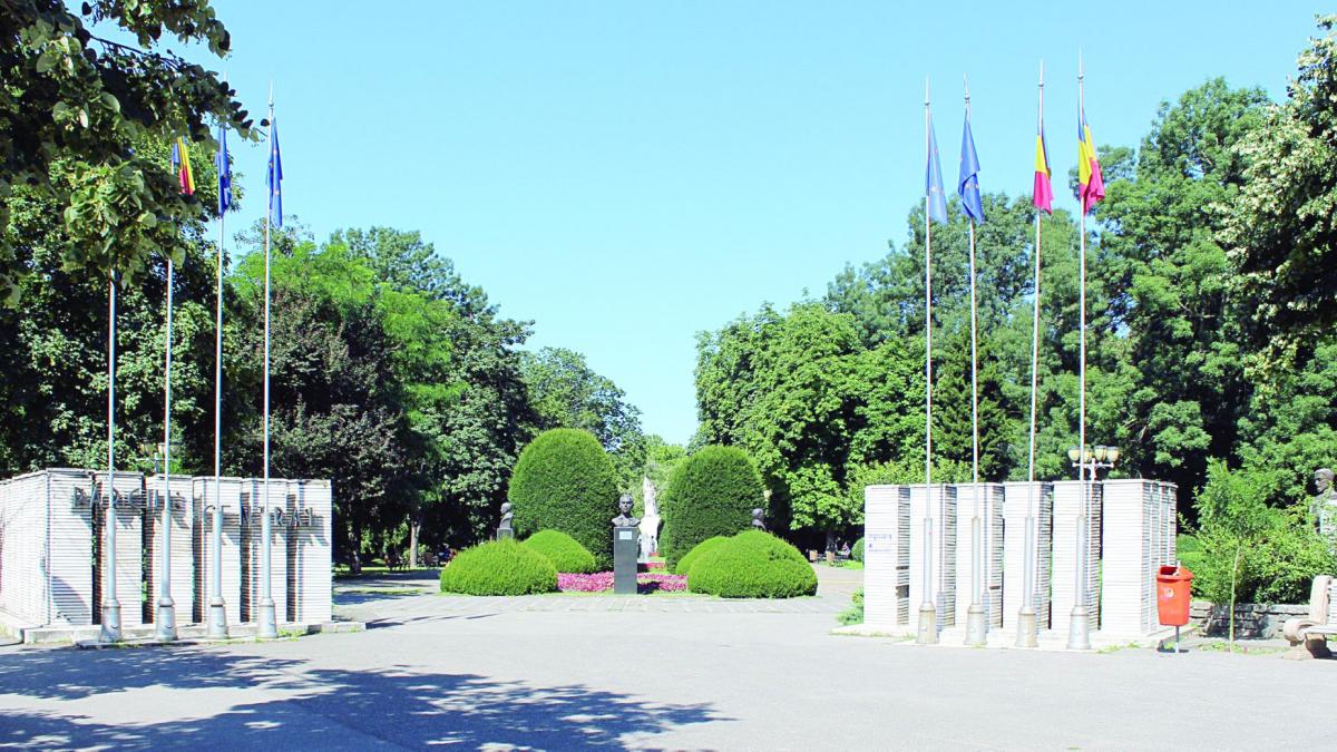 Licitaţie cu cântec de leagăn la Primăria Timişoara