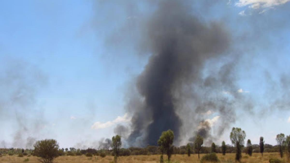 Accident cu cinci maşini pe Drumul European 584. Şoferii au fost afectaţi de fumul unui incendiu de vegetaţie