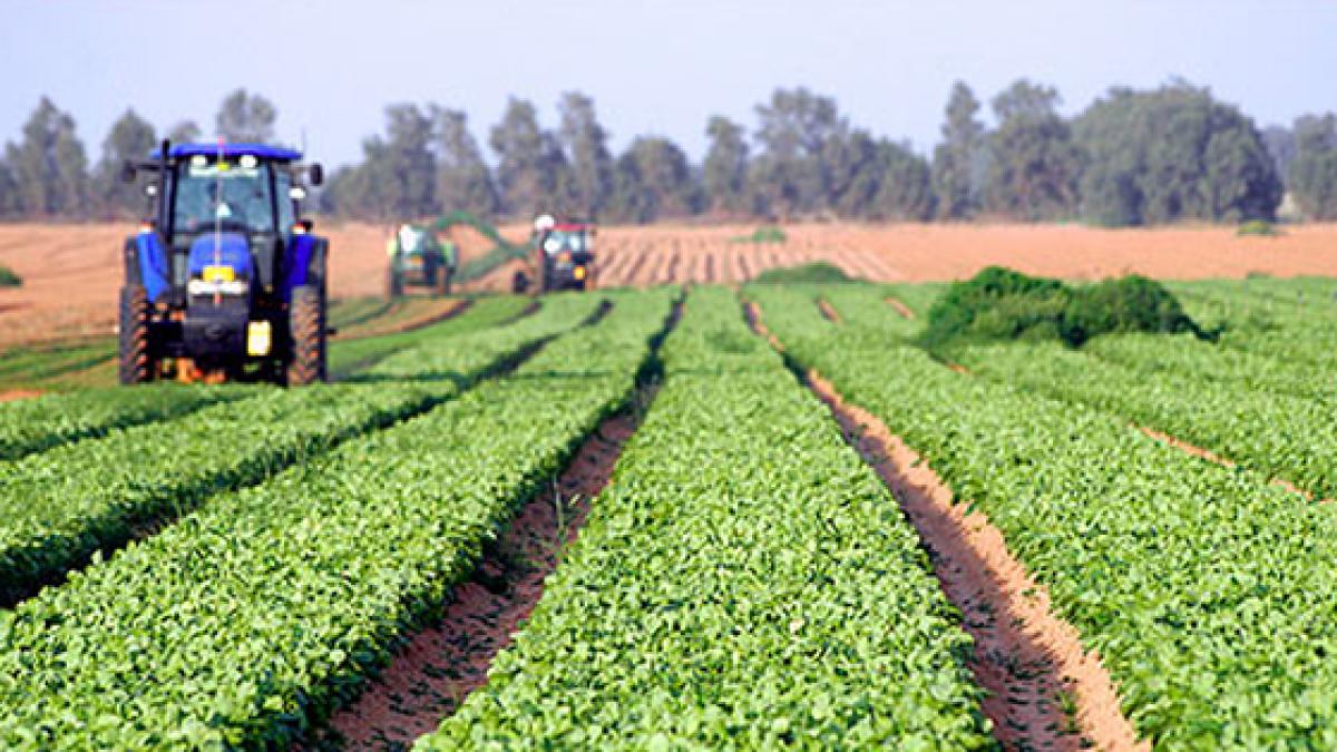 România înregistrează un grad de absorbţie efectivă de 48% din fondurile europene pe agricultură şi dezvoltare rurală