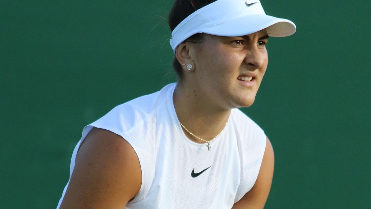 Confruntarea dintre Irina Begu şi Bianca Andreescu a fost amânată! 