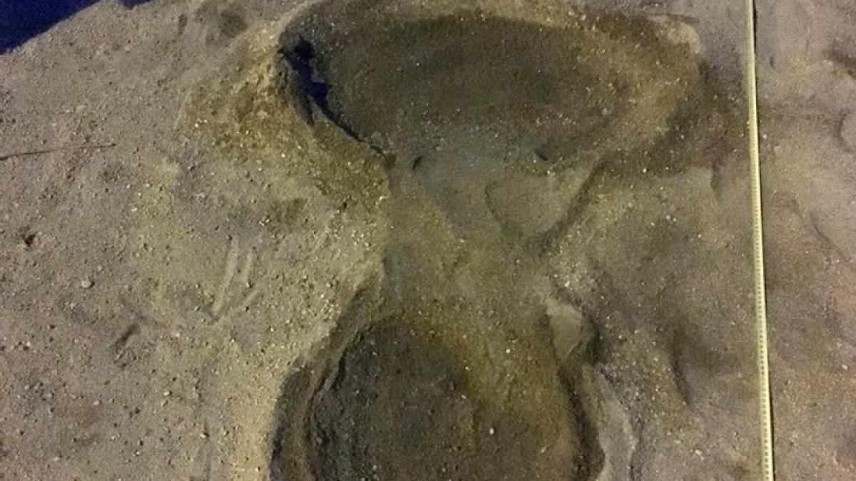 Apariţie misterioasă la Sfântu Gheorghe