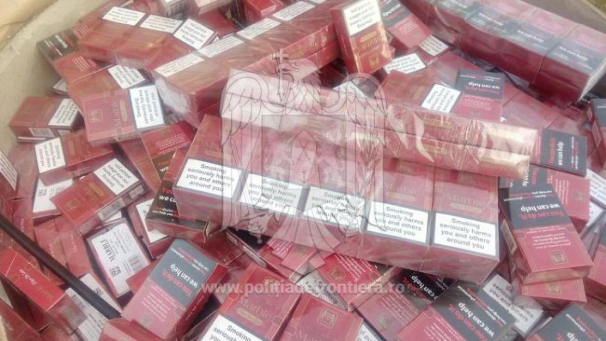 Peste 500.000 de ţigări fără timbru, ridicate de poliţişti în urma unor percheziţii în Olt şi Argeş