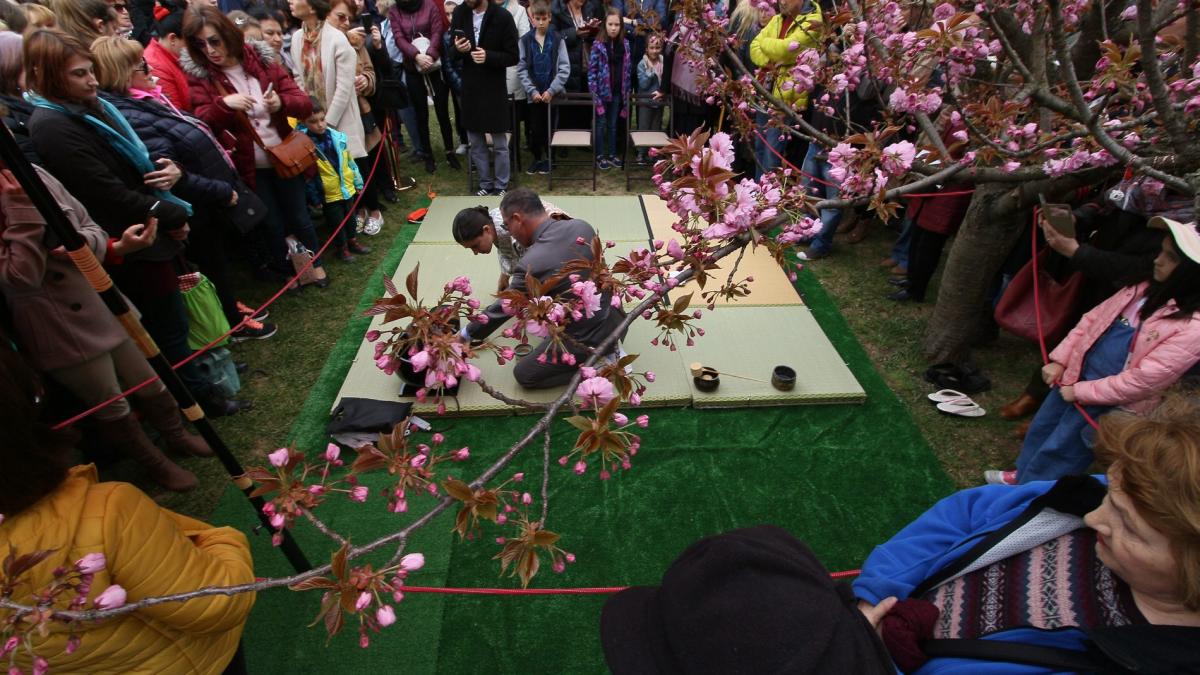 Liber la Hanami