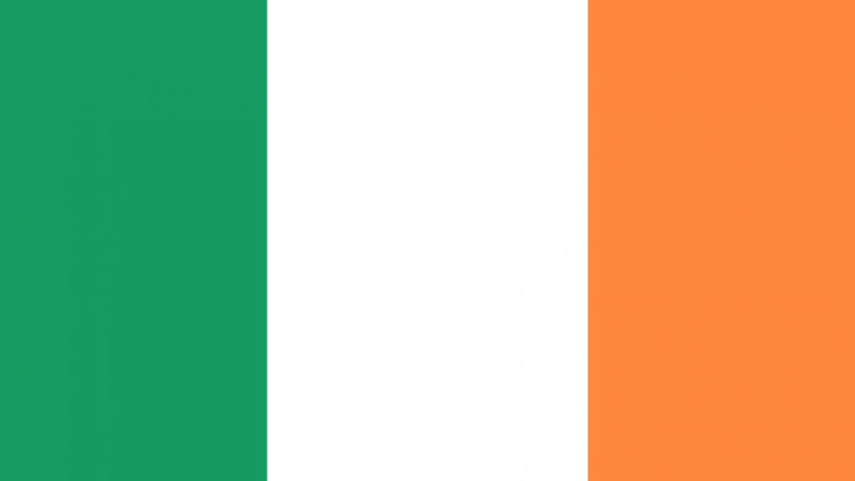 Irlandezii au aprobat cu o majoritate zdrobitoare liberalizarea divorţului