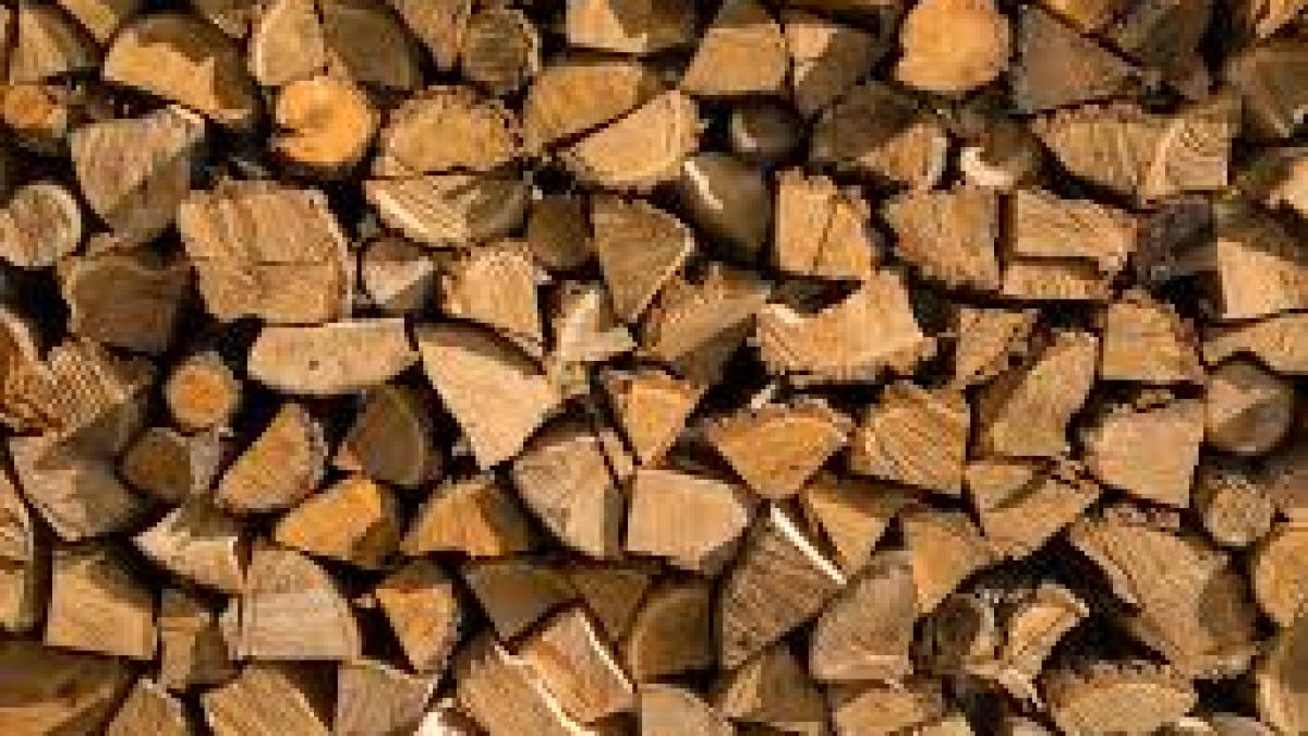 Caraş-Severin: Transport de material lemnos fără documente legale
