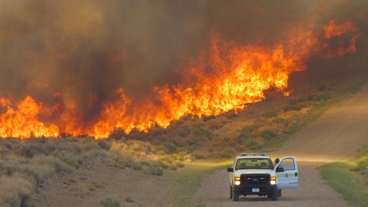 WWF avertizează în legătură cu riscul izbucnirii unor noi 'superincendii' în Europa