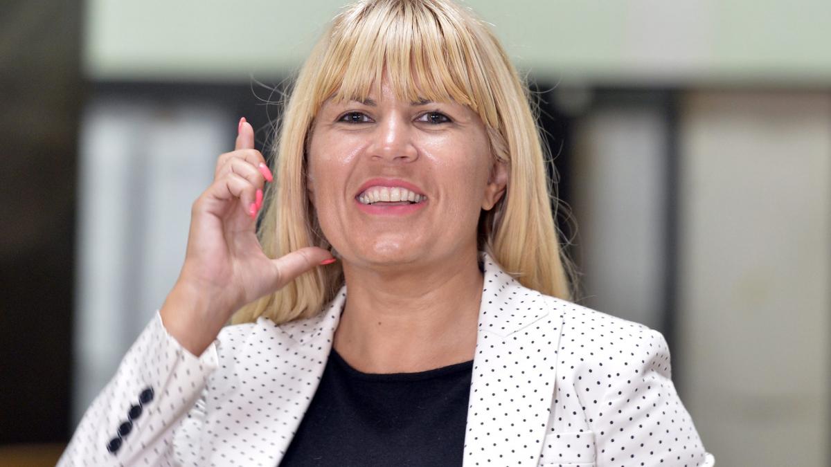 Întoarcerea în țară a Elenei Udrea. Riscurile la care se expune fosta “blondă de la Cotroceni”