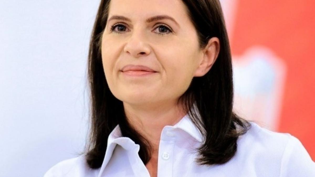 Adriana Săftoiu: Voi solicita Camerei înfiinţarea unei comisii care să analizeze toate dosarele persoanelor dispărute