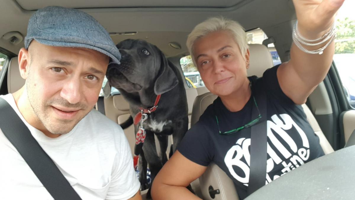 Monica Anghel are acasă șase căței, primiți cadou sau luați de pe stradă