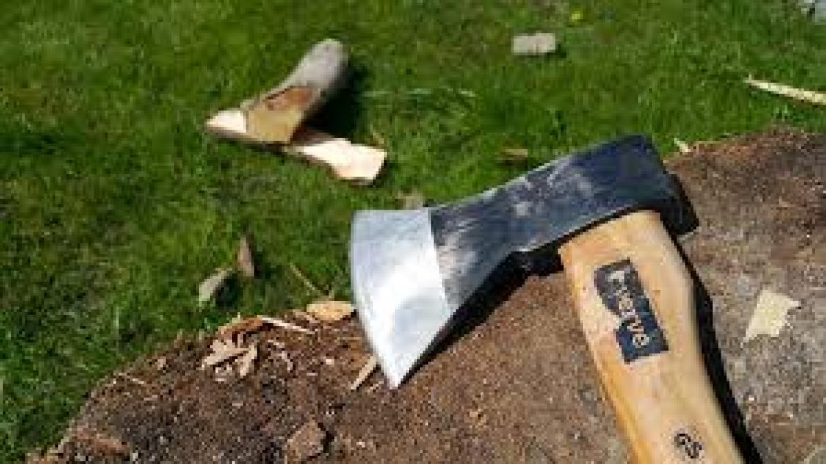 Dosar penal pentru un bărbat care îşi ameninţa vecinii de bloc cu o secure, în Galaţi