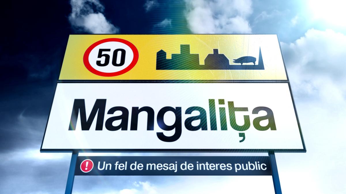 Mangalița, un nou serial de comedie, în curând, la Antena 1