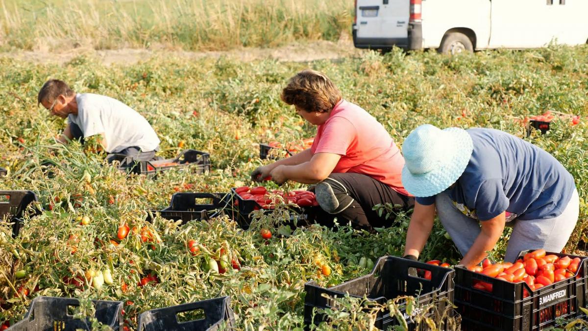 De ce sclavia modernă nu poate fi abolită