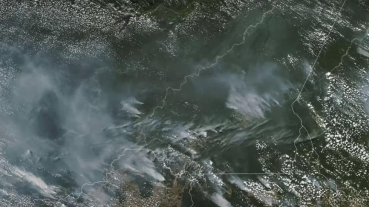 plamanii planetei ard numarul incendiilor din jungla amazoniana a ajuns la un nivel record
